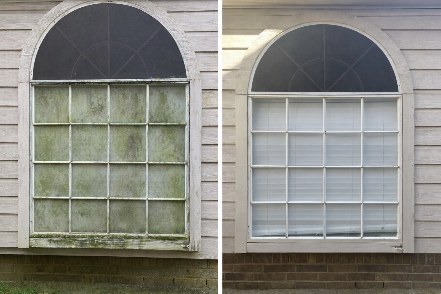 Before and after window cleaning showing dramatic removal of green mold and grime from arched window frame and glass.