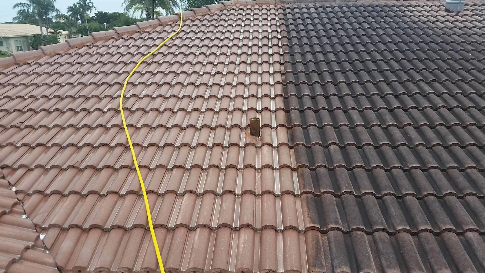 Low-Pressure-Roof-Cleaning-Service Video